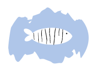 Shredded fish 1