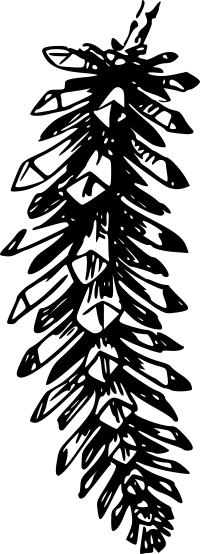 Cone 2