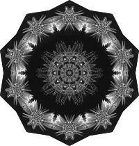 Acanthophracta 2