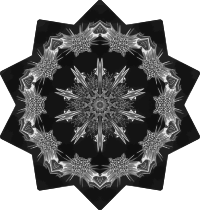 Acanthophracta 3