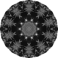 Acanthophracta 4