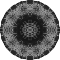 Acanthophracta 5