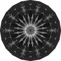 Acanthophracta 6