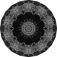 Acanthophracta 7