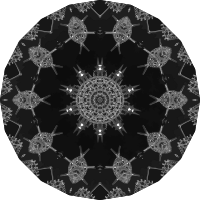 Acanthophracta 8