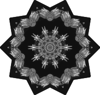 Acanthophracta 9
