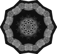 Acanthophracta 10