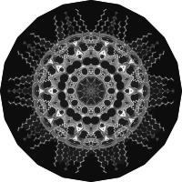 Acanthophracta 12