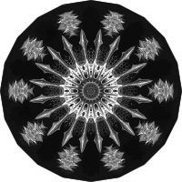 Acanthophracta 11