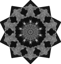 Acanthophracta 13