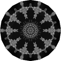 Acanthophracta 15