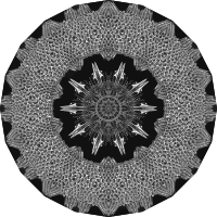 Acanthophracta 14