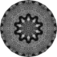 Acanthophracta 18