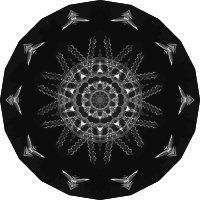 Acanthophracta 20