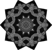 Acanthophracta 19