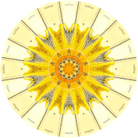 Acanthometra 6