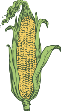ear of corn - colored