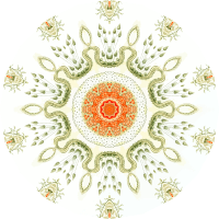 Anthomedusae 6