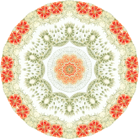 Anthomedusae 7