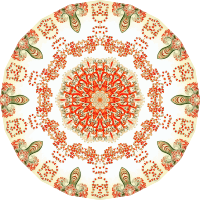 Anthomedusae 12
