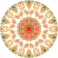 Anthomedusae 14
