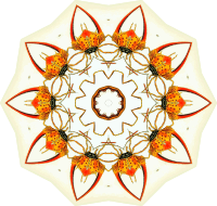 Arachnida 4