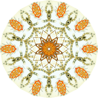 Arachnida 8