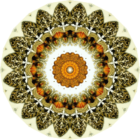 Arachnida 9