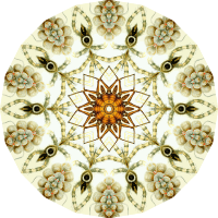 Arachnida 10