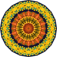 Ascidiae 6