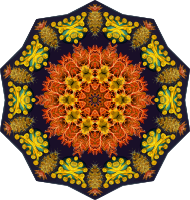 Ascidiae 7