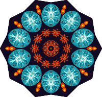 Ascidiae 10