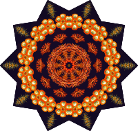 Ascidiae 9