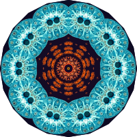 Ascidiae 11