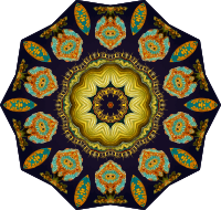 Ascidiae 15