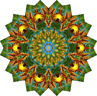 Batrachia 5