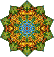 Batrachia 9
