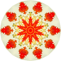 Asteridea 1