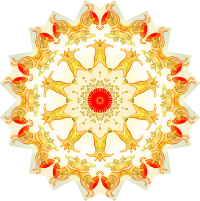 Asteridea 4
