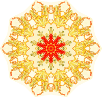 Asteridea 5