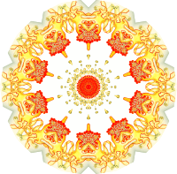 Asteridea 8