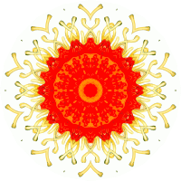 Asteridea 10