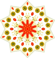Asteridea 13