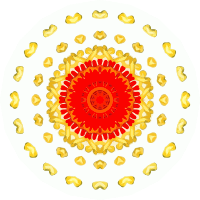 Asteridea 16