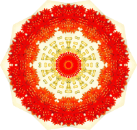 Asteridea 20