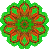 Chaetopodia 4