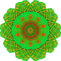 Chaetopoda 8