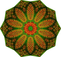 Chaetopoda 10