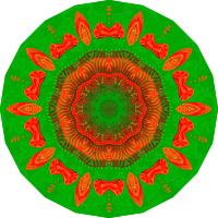 Chaetopoda 12