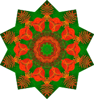 Chaetopoda 14